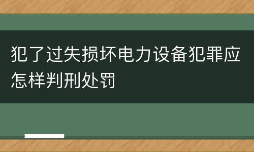 犯了过失损坏电力设备犯罪应怎样判刑处罚