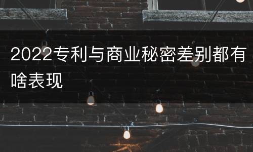 2022专利与商业秘密差别都有啥表现