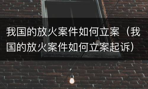 我国的放火案件如何立案（我国的放火案件如何立案起诉）