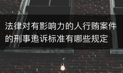 法律对有影响力的人行贿案件的刑事追诉标准有哪些规定
