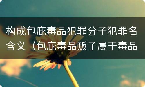构成包庇毒品犯罪分子犯罪名含义（包庇毒品贩子属于毒品犯罪吗）