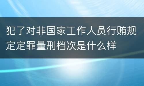 犯了对非国家工作人员行贿规定定罪量刑档次是什么样