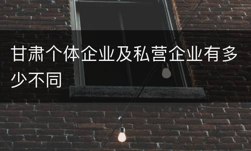 甘肃个体企业及私营企业有多少不同