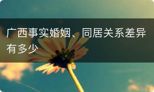 广西事实婚姻、同居关系差异有多少