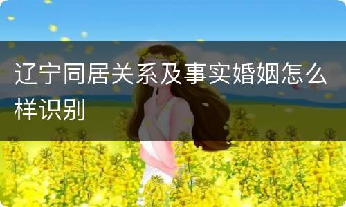 辽宁同居关系及事实婚姻怎么样识别