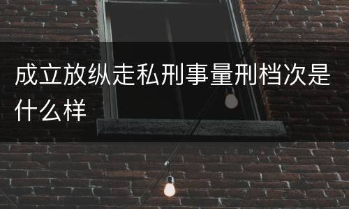 成立放纵走私刑事量刑档次是什么样