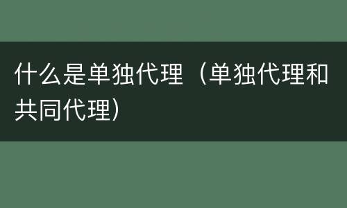 什么是单独代理（单独代理和共同代理）