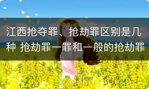 江西抢夺罪、抢劫罪区别是几种 抢劫罪一罪和一般的抢劫罪