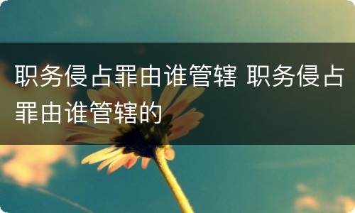 职务侵占罪由谁管辖 职务侵占罪由谁管辖的