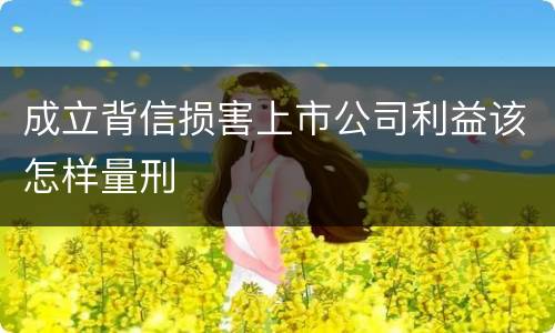 成立背信损害上市公司利益该怎样量刑