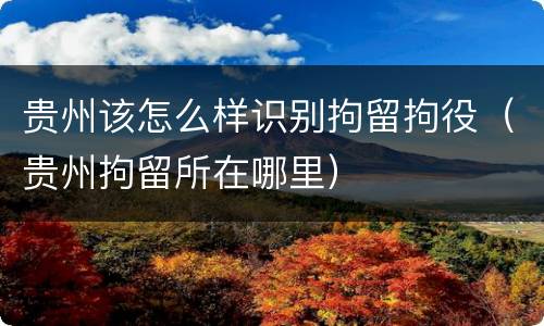 贵州该怎么样识别拘留拘役（贵州拘留所在哪里）