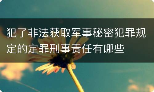犯了非法获取军事秘密犯罪规定的定罪刑事责任有哪些