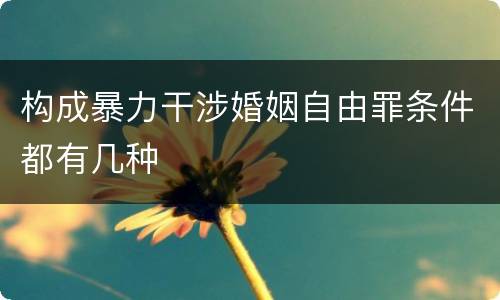 构成暴力干涉婚姻自由罪条件都有几种