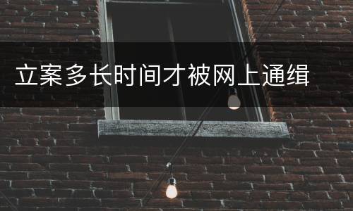 立案多长时间才被网上通缉