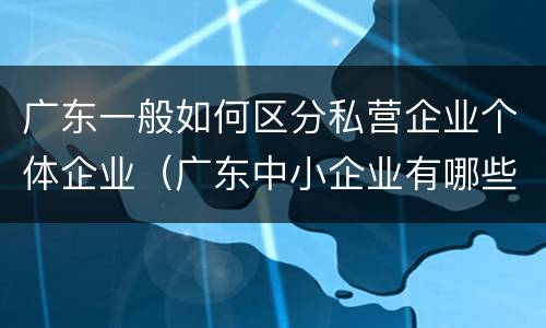 广东一般如何区分私营企业个体企业（广东中小企业有哪些）