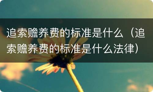 追索赡养费的标准是什么（追索赡养费的标准是什么法律）