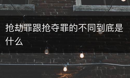 抢劫罪跟抢夺罪的不同到底是什么