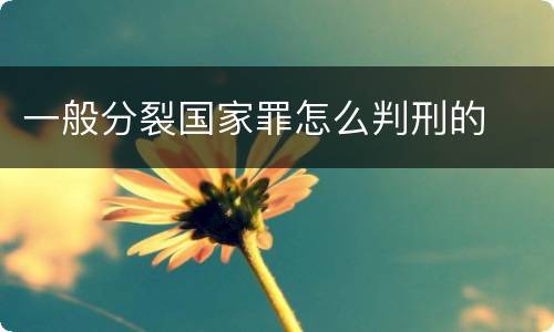 一般分裂国家罪怎么判刑的