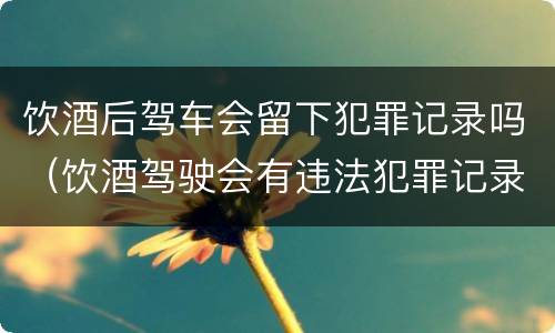 饮酒后驾车会留下犯罪记录吗（饮酒驾驶会有违法犯罪记录吗）