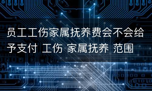 员工工伤家属抚养费会不会给予支付 工伤 家属抚养 范围