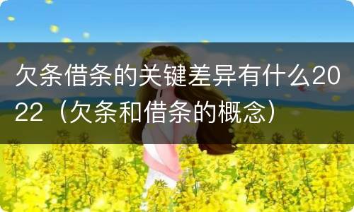 欠条借条的关键差异有什么2022（欠条和借条的概念）