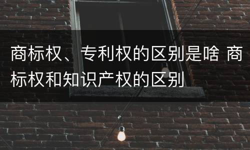 商标权、专利权的区别是啥 商标权和知识产权的区别