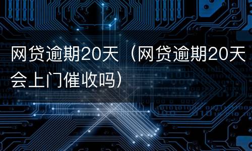 网贷逾期20天（网贷逾期20天会上门催收吗）