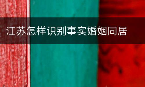 江苏怎样识别事实婚姻同居