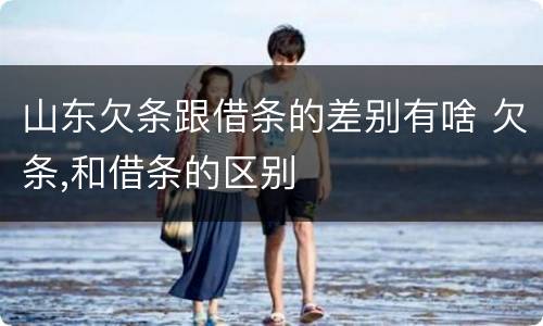 山东欠条跟借条的差别有啥 欠条,和借条的区别