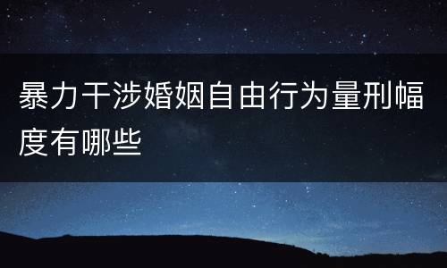暴力干涉婚姻自由行为量刑幅度有哪些