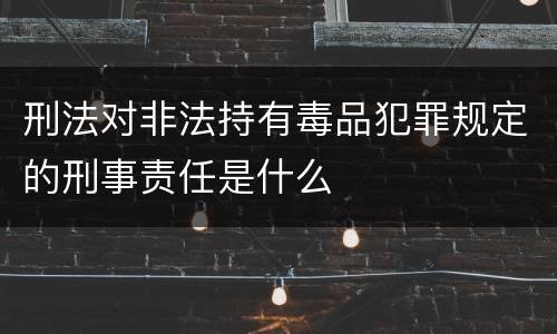 刑法对非法持有毒品犯罪规定的刑事责任是什么