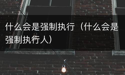 什么会是强制执行（什么会是强制执行人）