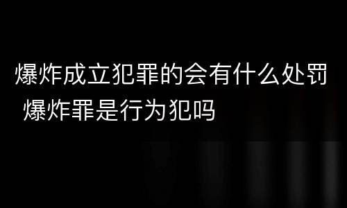 爆炸成立犯罪的会有什么处罚 爆炸罪是行为犯吗