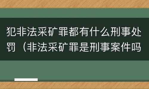 犯非法采矿罪都有什么刑事处罚（非法采矿罪是刑事案件吗）