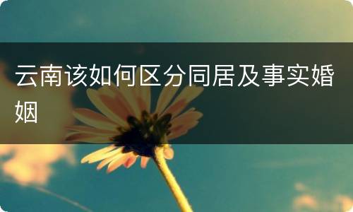 云南该如何区分同居及事实婚姻