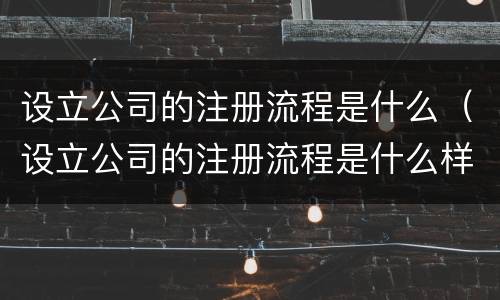 设立公司的注册流程是什么（设立公司的注册流程是什么样的）