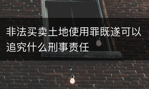非法买卖土地使用罪既遂可以追究什么刑事责任