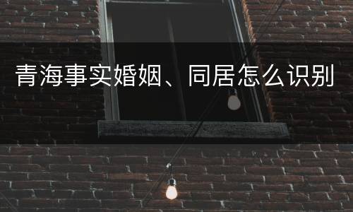 青海事实婚姻、同居怎么识别
