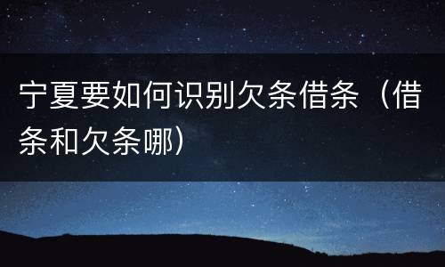 宁夏要如何识别欠条借条（借条和欠条哪）