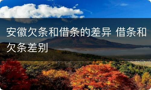 安徽欠条和借条的差异 借条和欠条差别