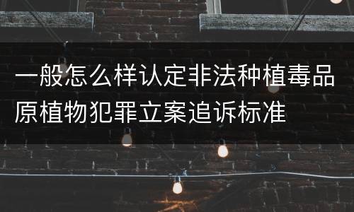 一般怎么样认定非法种植毒品原植物犯罪立案追诉标准