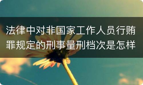 法律中对非国家工作人员行贿罪规定的刑事量刑档次是怎样的