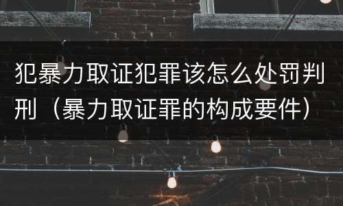 犯暴力取证犯罪该怎么处罚判刑（暴力取证罪的构成要件）