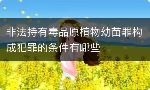 非法持有毒品原植物幼苗罪构成犯罪的条件有哪些