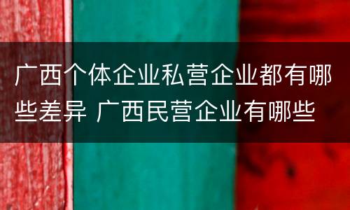 广西个体企业私营企业都有哪些差异 广西民营企业有哪些