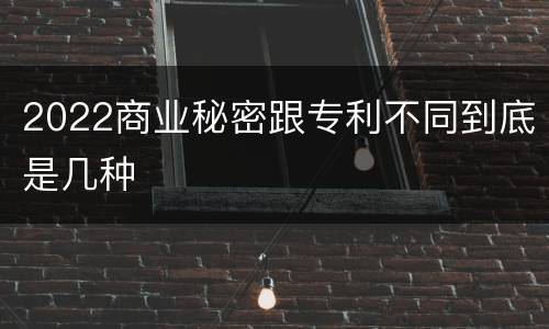 2022商业秘密跟专利不同到底是几种