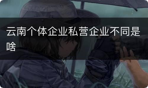 云南个体企业私营企业不同是啥