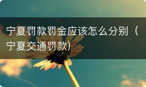 宁夏罚款罚金应该怎么分别（宁夏交通罚款）