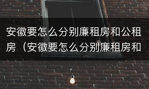 安徽要怎么分别廉租房和公租房（安徽要怎么分别廉租房和公租房呢）
