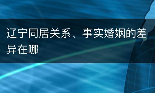 辽宁同居关系、事实婚姻的差异在哪